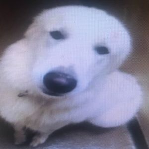 Meet your Posher, Aidan